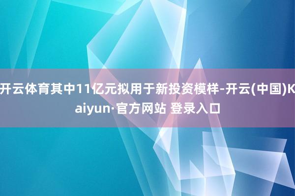 开云体育其中11亿元拟用于新投资模样-开云(中国)Kaiyun·官方网站 登录入口