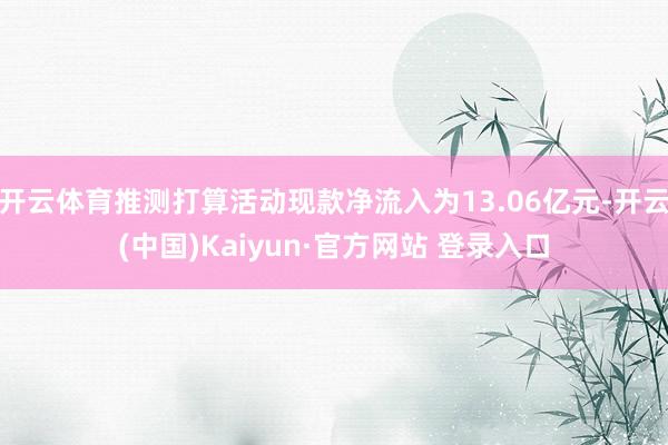 开云体育推测打算活动现款净流入为13.06亿元-开云(中国)Kaiyun·官方网站 登录入口