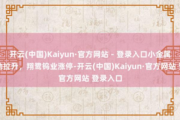 开云(中国)Kaiyun·官方网站 - 登录入口小金属板块异动拉升，翔鹭钨业涨停-开云(中国)Kaiyun·官方网站 登录入口