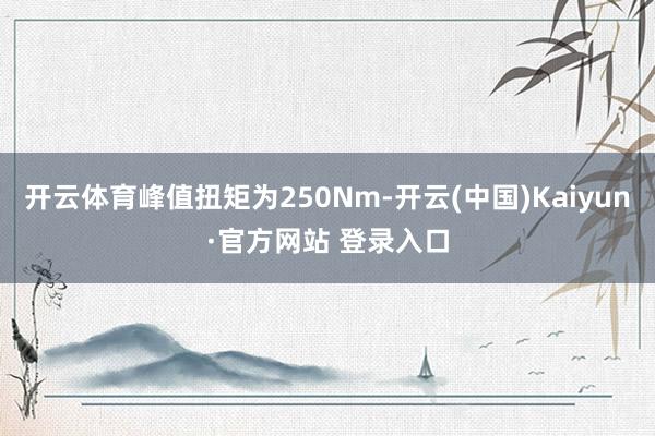 开云体育峰值扭矩为250Nm-开云(中国)Kaiyun·官方网站 登录入口