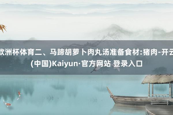 欧洲杯体育二、马蹄胡萝卜肉丸汤准备食材:猪肉-开云(中国)Kaiyun·官方网站 登录入口