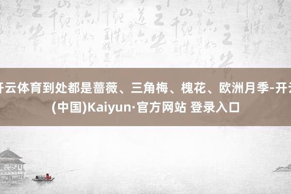 开云体育到处都是蔷薇、三角梅、槐花、欧洲月季-开云(中国)Kaiyun·官方网站 登录入口