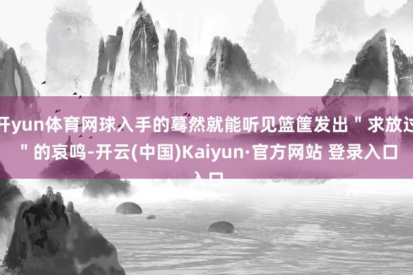 开yun体育网球入手的蓦然就能听见篮筐发出＂求放过＂的哀鸣-开云(中国)Kaiyun·官方网站 登录入口