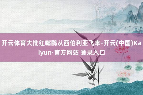 开云体育大批红嘴鸥从西伯利亚飞来-开云(中国)Kaiyun·官方网站 登录入口