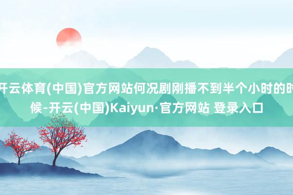 开云体育(中国)官方网站何况剧刚播不到半个小时的时候-开云(中国)Kaiyun·官方网站 登录入口
