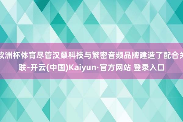 欧洲杯体育尽管汉桑科技与繁密音频品牌建造了配合关联-开云(中国)Kaiyun·官方网站 登录入口