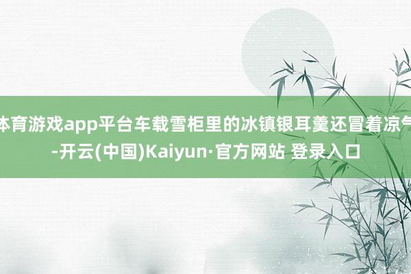 体育游戏app平台车载雪柜里的冰镇银耳羹还冒着凉气-开云(中国)Kaiyun·官方网站 登录入口