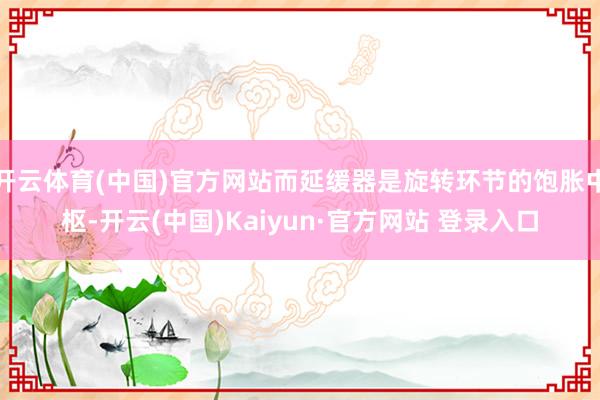开云体育(中国)官方网站而延缓器是旋转环节的饱胀中枢-开云(中国)Kaiyun·官方网站 登录入口