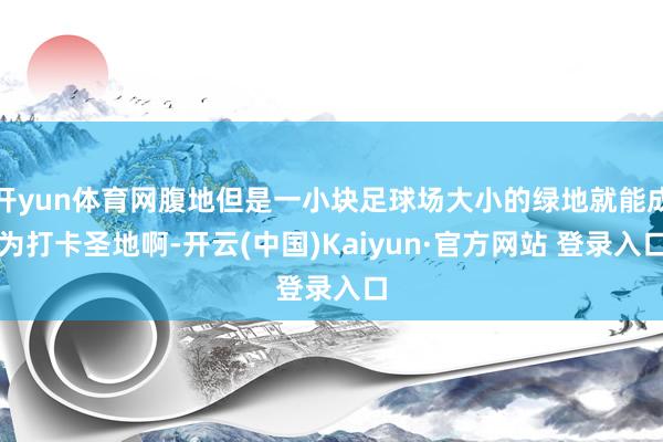开yun体育网腹地但是一小块足球场大小的绿地就能成为打卡圣地啊-开云(中国)Kaiyun·官方网站 登录入口