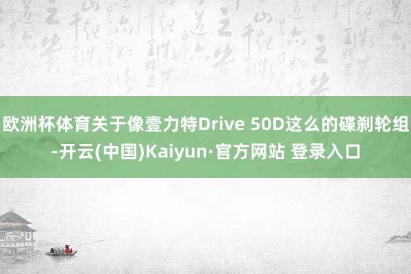 欧洲杯体育关于像壹力特Drive 50D这么的碟刹轮组-开云(中国)Kaiyun·官方网站 登录入口