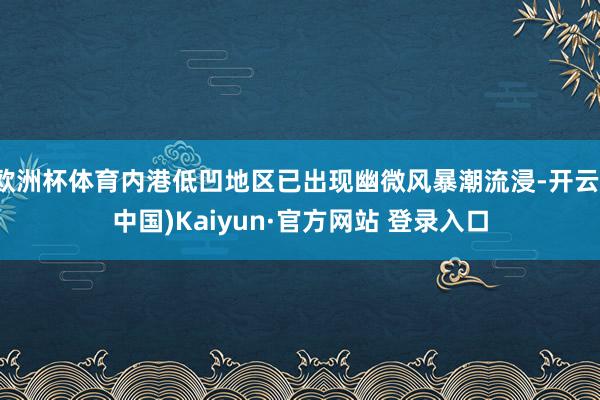欧洲杯体育内港低凹地区已出现幽微风暴潮流浸-开云(中国)Kaiyun·官方网站 登录入口