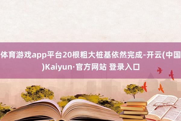体育游戏app平台20根粗大桩基依然完成-开云(中国)Kaiyun·官方网站 登录入口