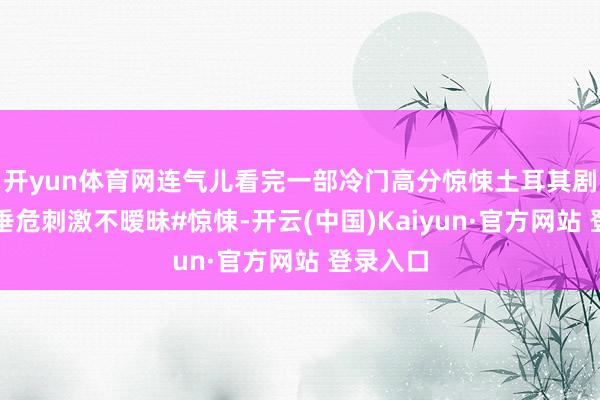 开yun体育网连气儿看完一部冷门高分惊悚土耳其剧，全程垂危刺激不暧昧#惊悚-开云(中国)Kaiyun·官方网站 登录入口