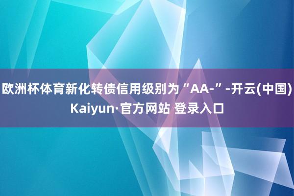 欧洲杯体育新化转债信用级别为“AA-”-开云(中国)Kaiyun·官方网站 登录入口
