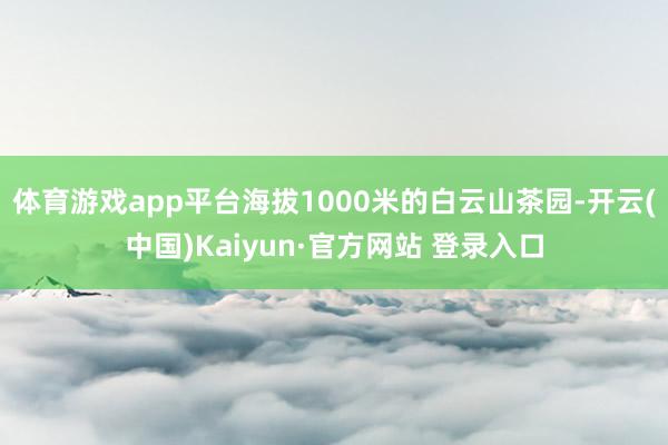 体育游戏app平台海拔1000米的白云山茶园-开云(中国)Kaiyun·官方网站 登录入口