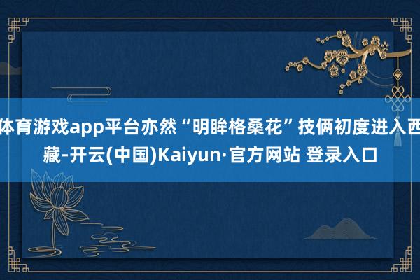 体育游戏app平台亦然“明眸格桑花”技俩初度进入西藏-开云(中国)Kaiyun·官方网站 登录入口