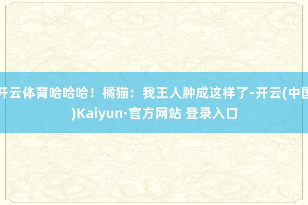 开云体育哈哈哈！橘猫：我王人肿成这样了-开云(中国)Kaiyun·官方网站 登录入口