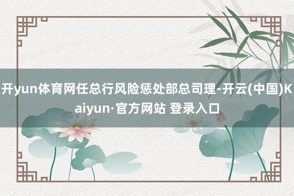 开yun体育网任总行风险惩处部总司理-开云(中国)Kaiyun·官方网站 登录入口