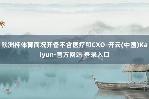 欧洲杯体育而况齐备不含医疗和CXO-开云(中国)Kaiyun·官方网站 登录入口