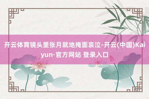 开云体育镜头里张月就地掩面哀泣-开云(中国)Kaiyun·官方网站 登录入口