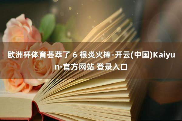 欧洲杯体育荟萃了 6 根炎火棒-开云(中国)Kaiyun·官方网站 登录入口